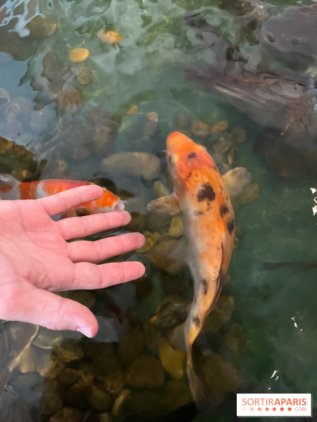 La Maison de la Pêche et de la Nature - image00001