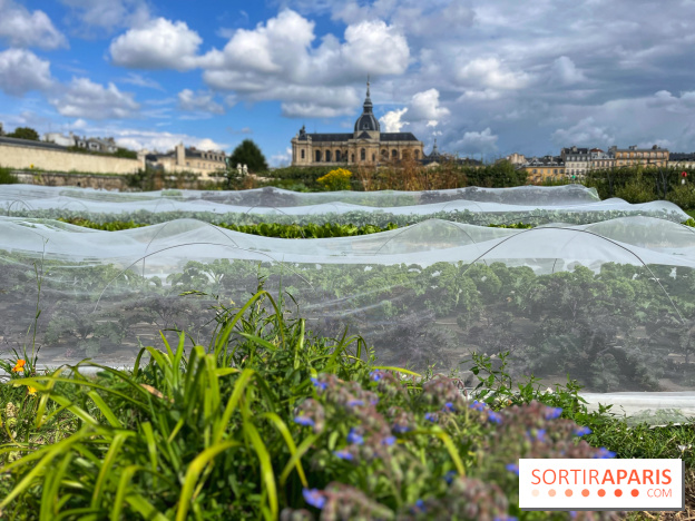Potager du Roi