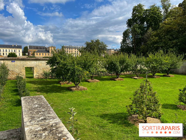 Potager du Roi - IMG 4240