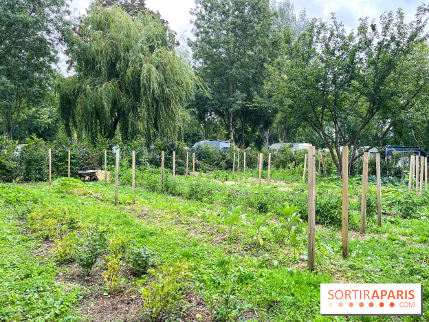 Les Rives de Paris, l'unique camping du 93 à Neuilly-sur-Marne