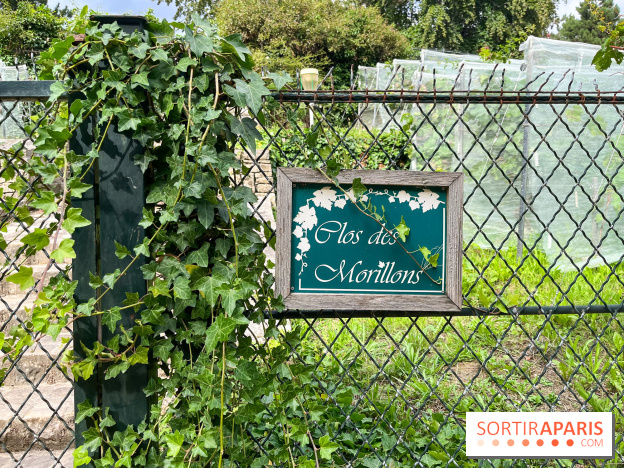 Le parc Georges Brassens, pour se croire à la campagne dans le 15e - image00030