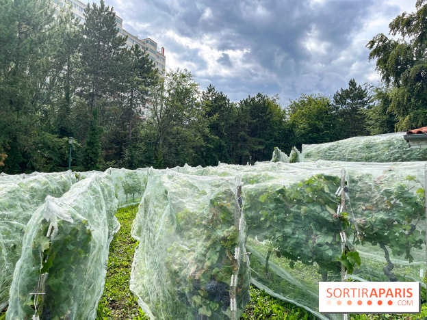 Le parc Georges Brassens, pour se croire à la campagne dans le 15e - image00028