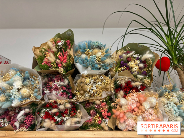 Boby la Plante - IMG 4353