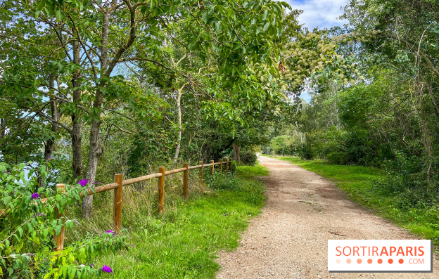 L'étang de la Galiotte dans le parc du Peuple de l'Herbe - Carrières-sous-Poissy (Yvelines) - image00021
