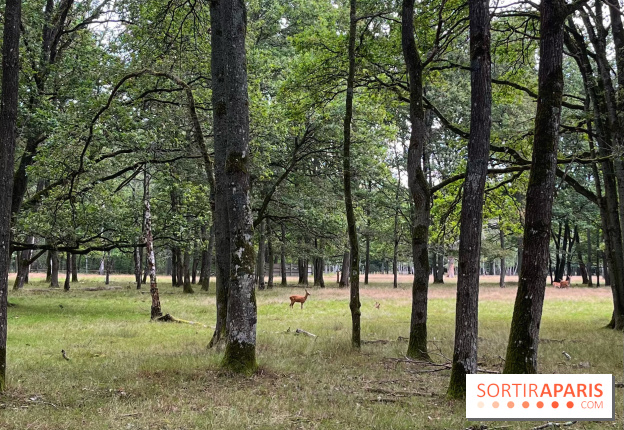 Espace Rambouillet - IMG 4375