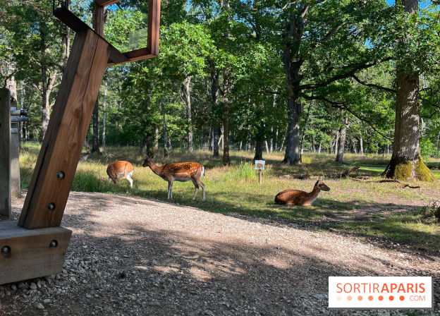 Espace Rambouillet - IMG 4417