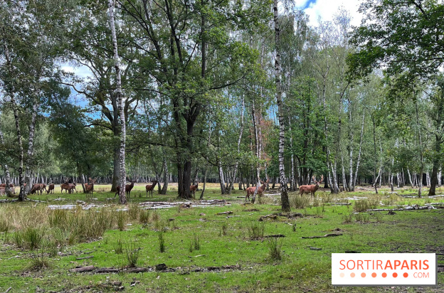 Espace Rambouillet - IMG 4529