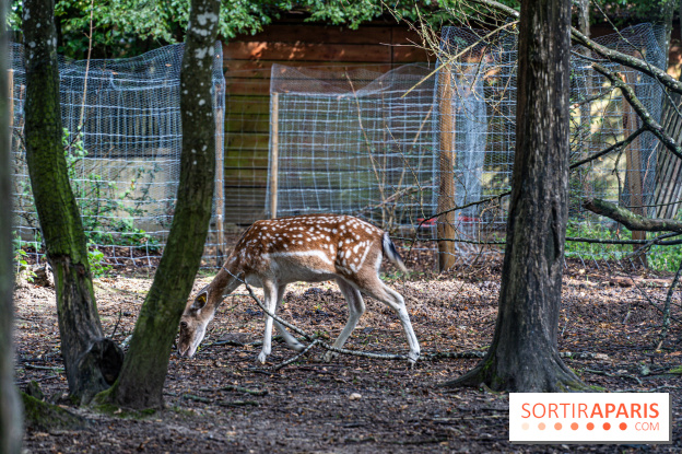 Le village de Janvry en Haute Vallée de Chevreuse  -  A7C0052