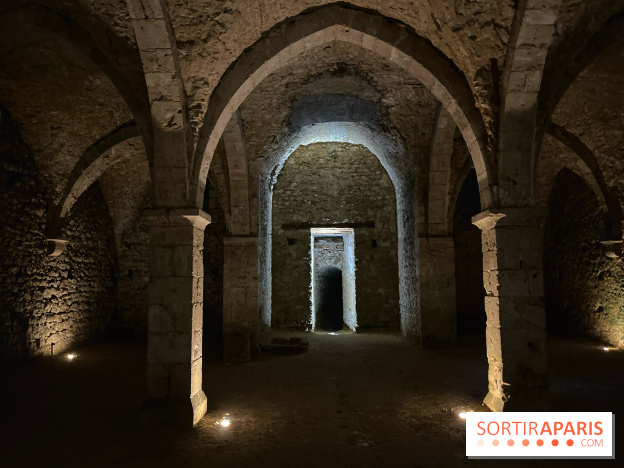 Provins, cité médiévale