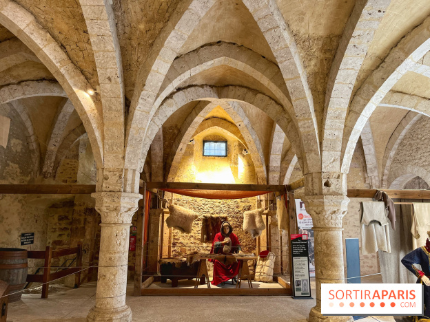 Provins, cité médiévale