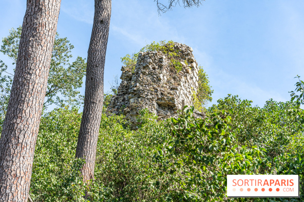 Village de Rochefort en Yvelines - A7C0273