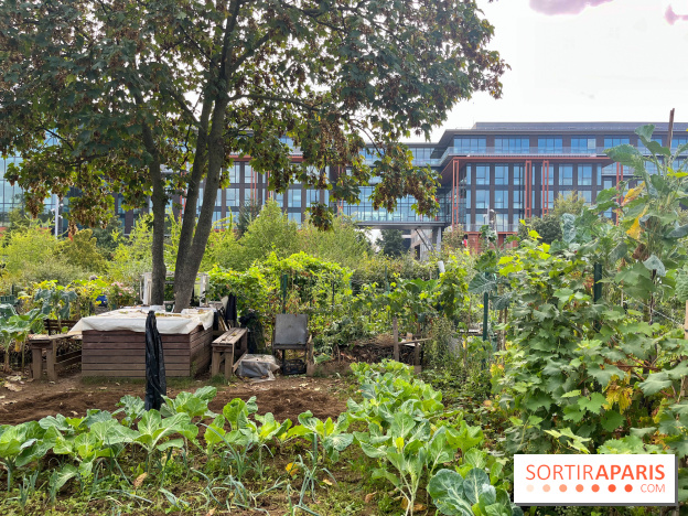 Le Grand Parc des Docks, à Saint-Ouen - image00222