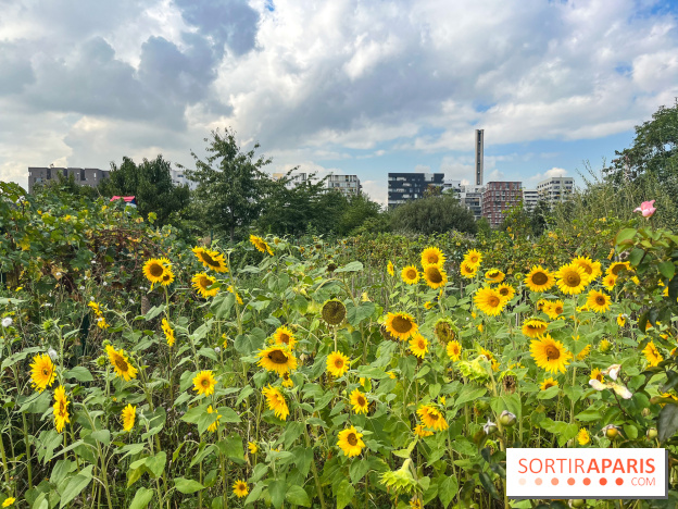 Le Grand Parc des Docks, à Saint-Ouen