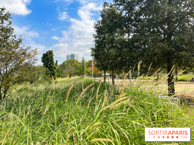 Le Grand Parc des Docks, à Saint-Ouen - image00199