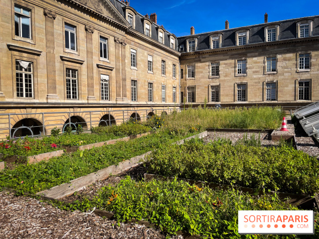Vignoble Hôtel de Ville