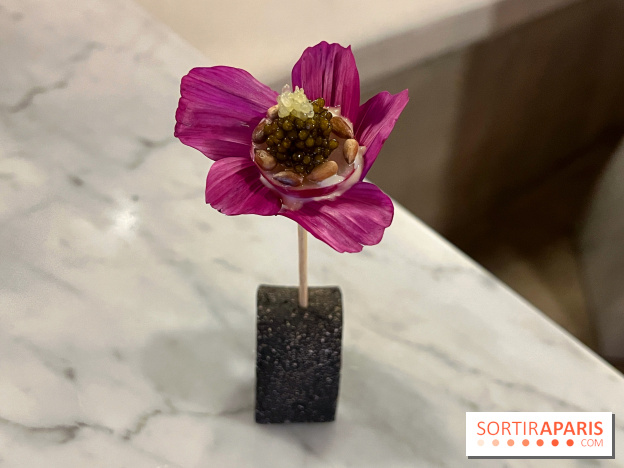 Tracé, Clément Vergeat - Fleur radis caviar