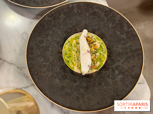 Tracé, Clément Vergeat - Turbot et moules