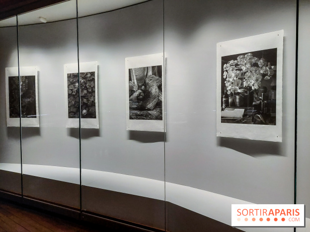 Portrait éphémère du Japon, nos photos de l'expo - 20230919 105652