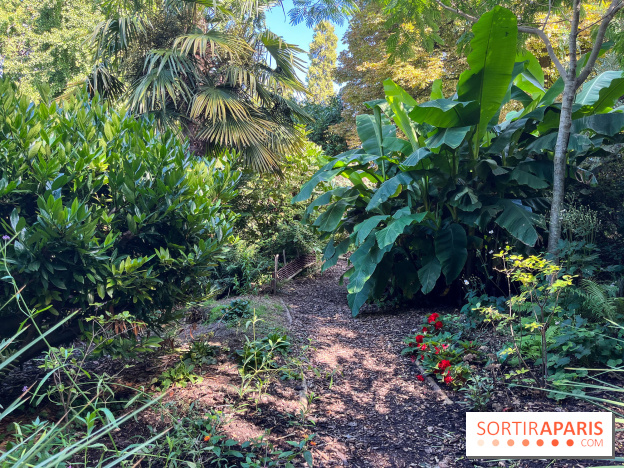 Parc de la butte du chapeau rouge - image00792