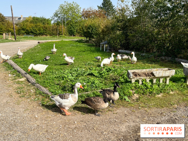 La Ferme des 4 Etoiles à Auffargis
