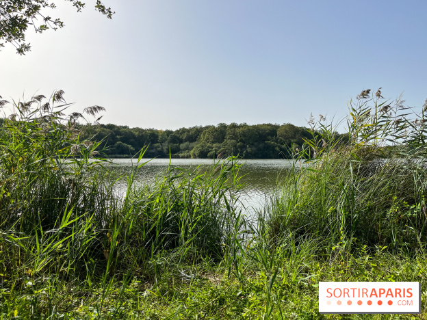 La Ferme des 4 Etoiles à Auffargis - image00007