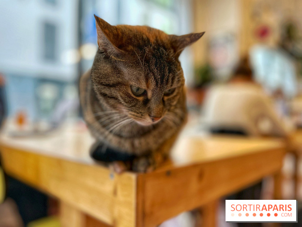 La Régulière - IMG 5295