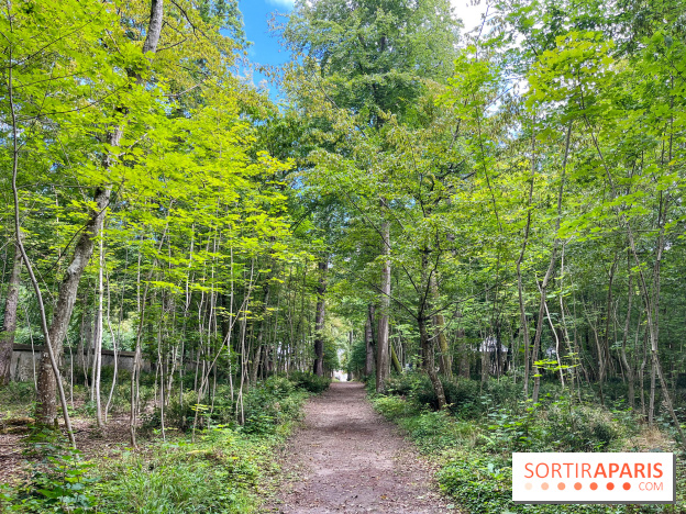 Un week-end le long du Loing, de Montigny-sur-Loing à Thomery - image00015