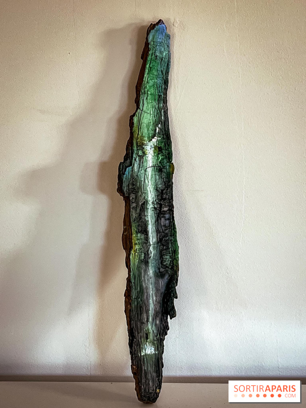 Les jardins japonais de Favières - photos - IMG 1832