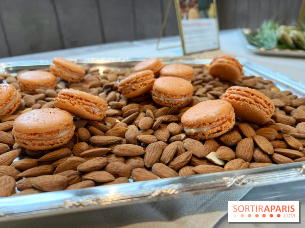 Dalloyau - Macarons de Noël 2023