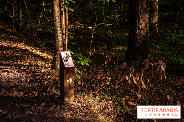 Le sentier des Maréchaux à Senlisse - Vallée de Chevreuse - panneau faune flore