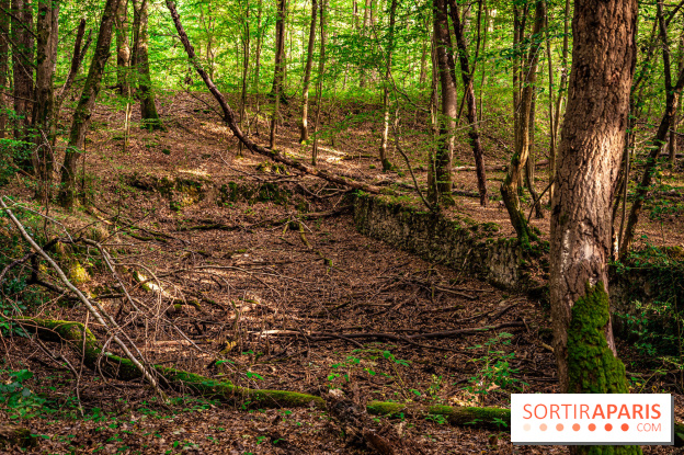 Le sentier des Maréchaux à Senlisse - Vallée de Chevreuse - ancien abreuvoir