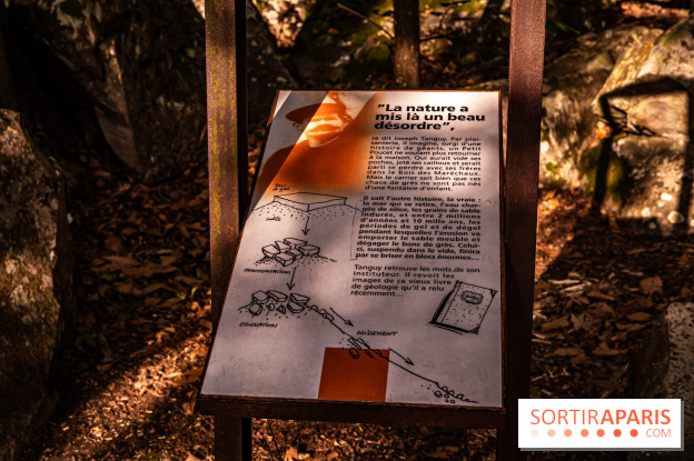 Le sentier des Maréchaux à Senlisse - Vallée de Chevreuse - A7C2536