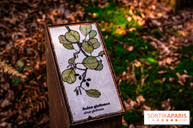 Le sentier des Maréchaux à Senlisse - Vallée de Chevreuse - panneau faune flore