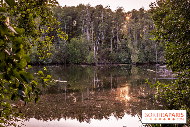Le sentier des Maréchaux à Senlisse - Vallée de Chevreuse - étang de Cernay