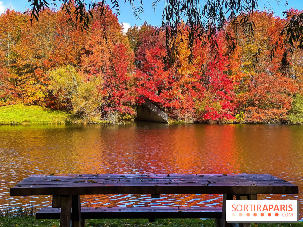 Bassin - étang de la Boissière à Elancourt
