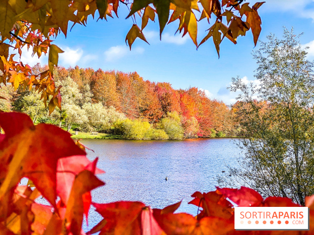 Bassin - étang de la Boissière à Elancourt