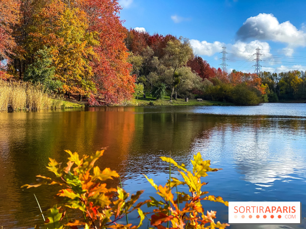 Bassin - étang de la Boissière à Elancourt