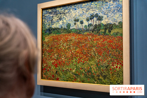 Exposition Van Gogh au Musée d’Orsay - Auvers-sur-Oise, les derniers mois - A7C3110