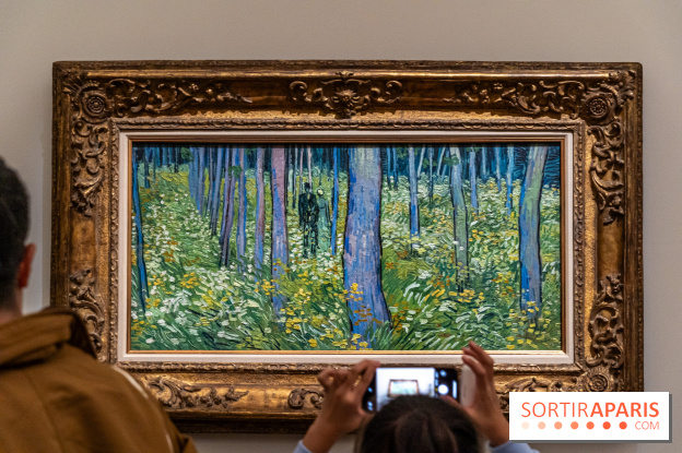 Exposition Van Gogh au Musée d’Orsay - Auvers-sur-Oise, les derniers mois - A7C3124