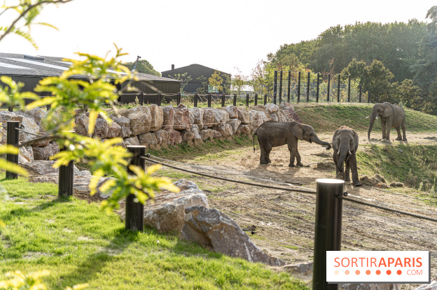 Les lodges de Thoiry - dormir à Thoiry en Terres d'Afrique - Photos -  A7C3291