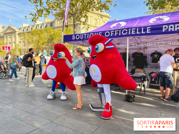 Journée Paralympique  - IMG 5733