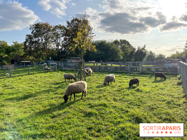 La ferme pédagogique du parc des Chanteraines