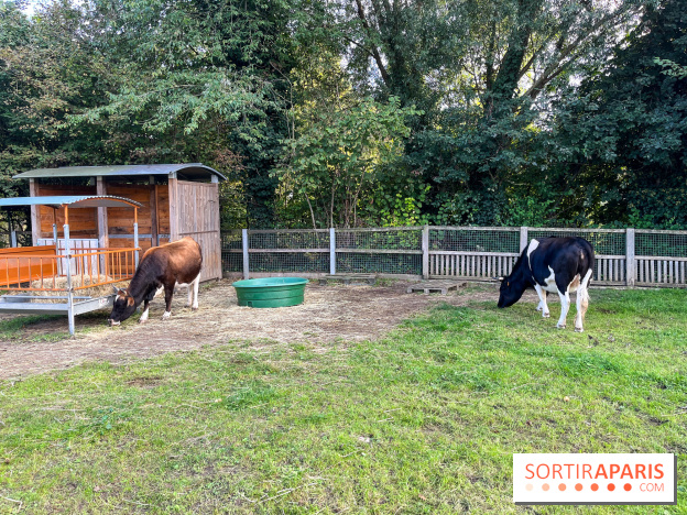 La ferme pédagogique du parc des Chanteraines