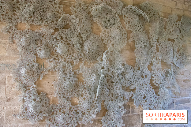 Exposition Entre Les Murs de Tanja Smeets et Karin van Dam Abbaye de Maubuisson