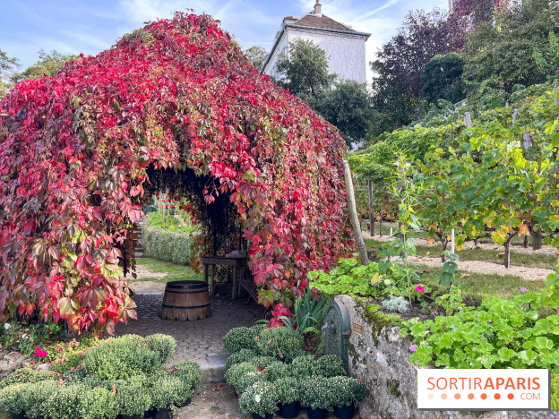 Vignes Montmartre
