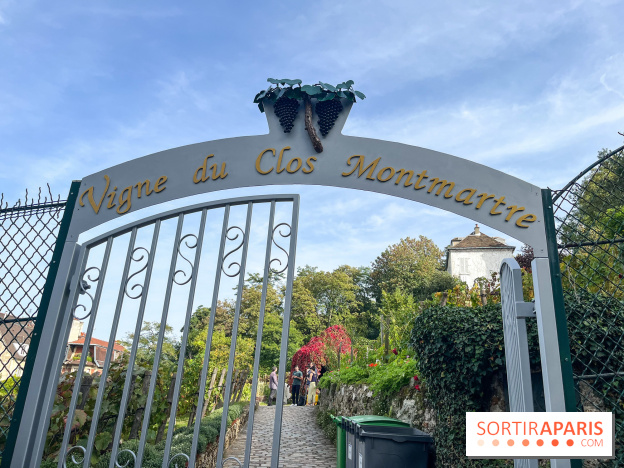 Vignes Montmartre