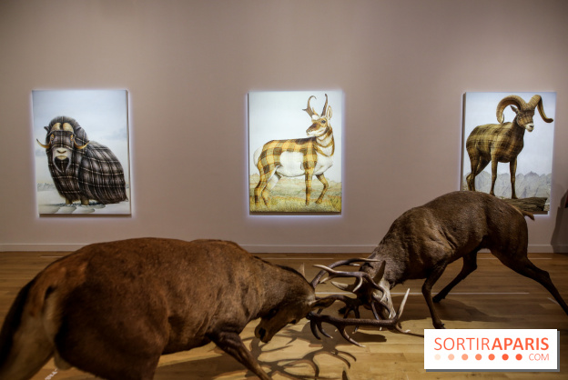 Sean Landers, les photos de son expo au Musée de la Chasse et de la Nature - IMG 1238