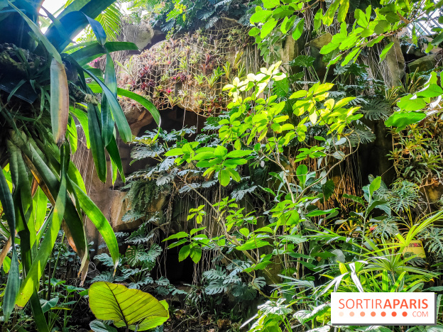 Automne Tropical 2023