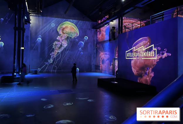 Océans, l'Odyssée Immersive à l'Atelier des Lumières - IMG 6095