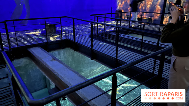 Océans, l'Odyssée Immersive à l'Atelier des Lumières - IMG 6134